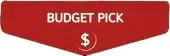 budget pick