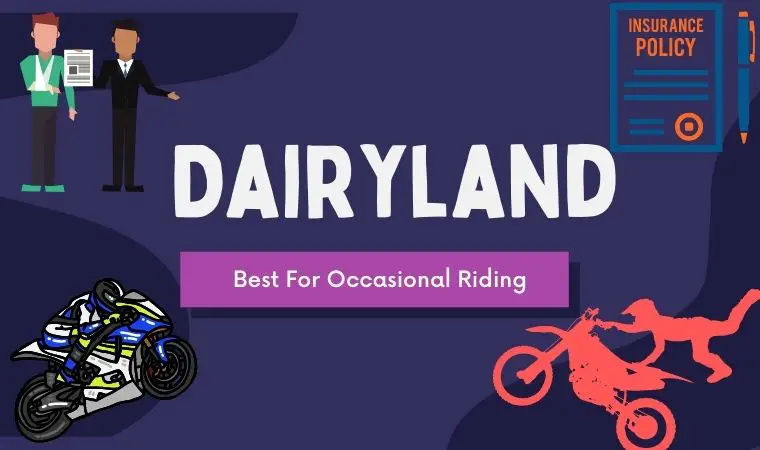 Dairyland - Best For Occasional Riding