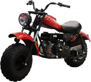 Massimo Motor Warrior200 196CC Engine for Adults or Kids.